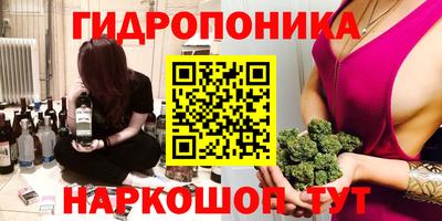 шишки Абинск