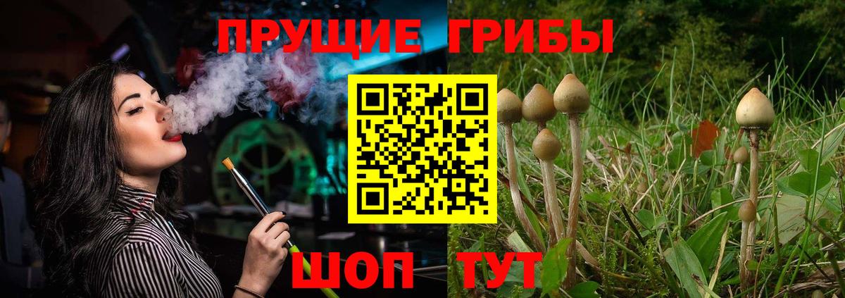 Псилоцибиновые грибы мухоморы Александров