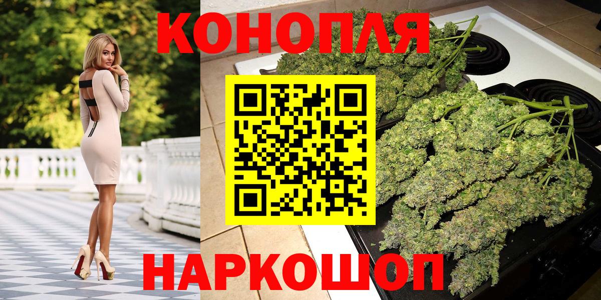 Конопля сатива Александров